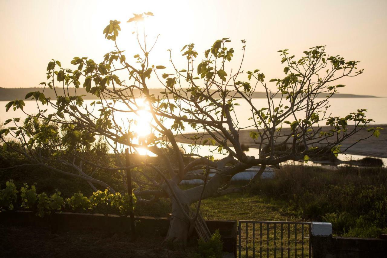 Holiday House Sunset Ljubac  Ngoại thất bức ảnh